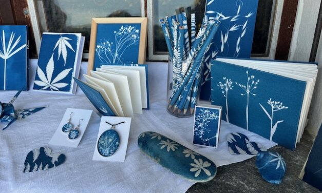 Un enchanteur atelier de cyanotype avec Irène Collaud